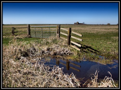 20120326-Cambridgeshire-00034-C