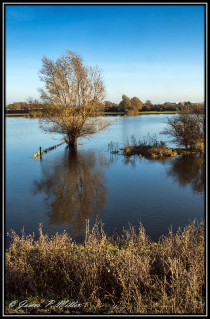 20121114_Cambridgeshire_00034-19-C